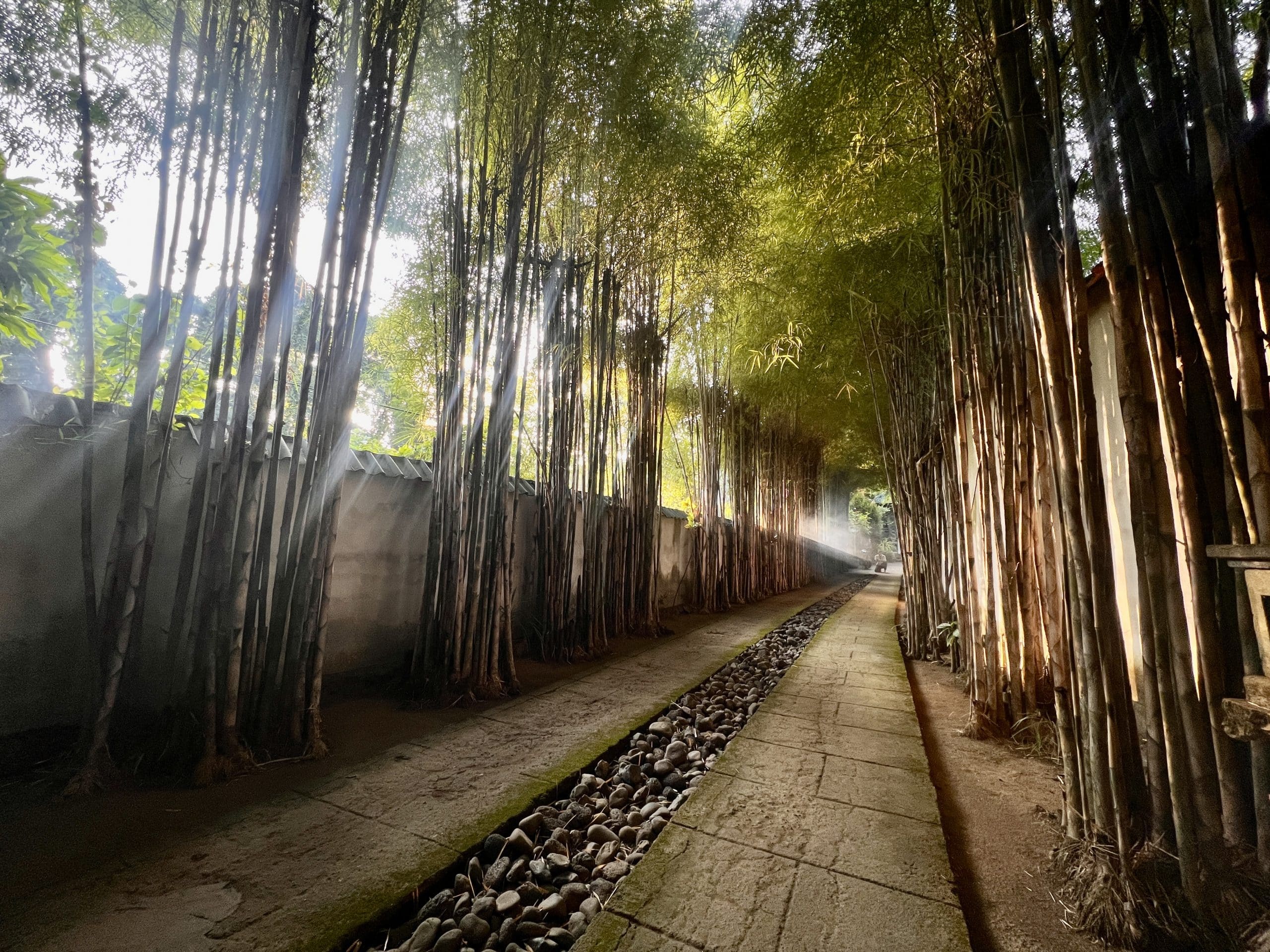 Villa Boréh grounds